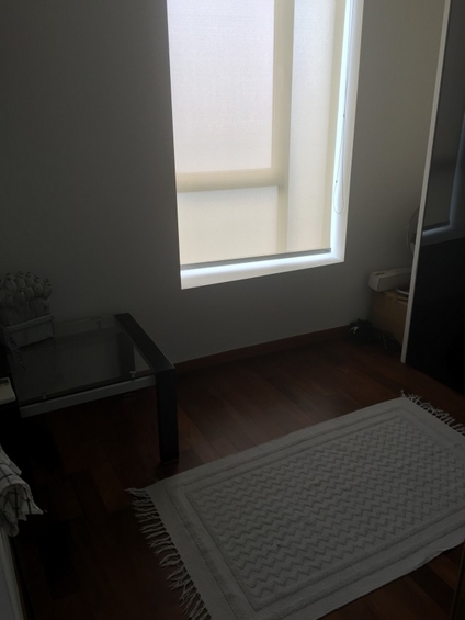 Newton One (D11), Condominium #124395912